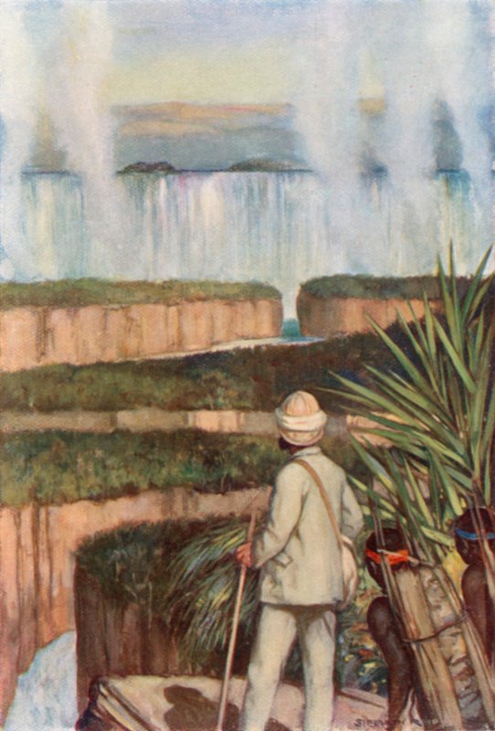 Livingstone at the Victoria Falls by Stephen Reid