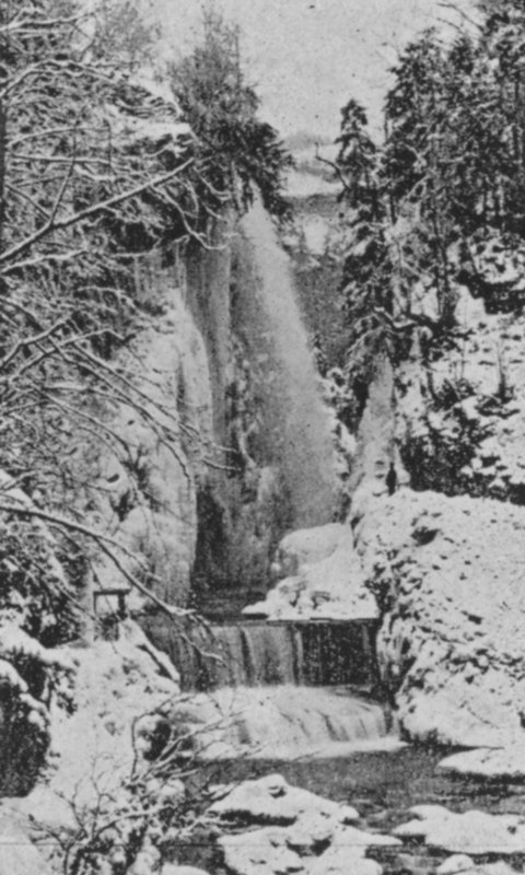 Les Corges du Taubenloch, pres Bienne en hiver by Swiss Photographer