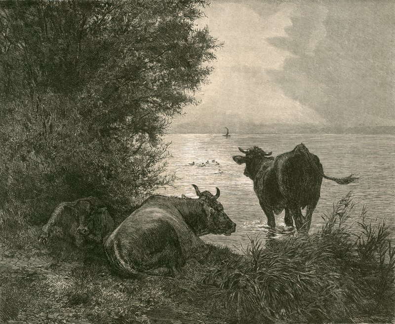 Early Morning on the Lake of Zurich by Swiss School
