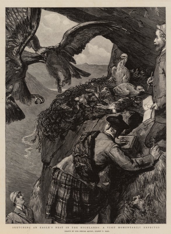 Sketching an Eagles Nest in the Highlands, a Visit momentarily expected by Sydney Prior Hall