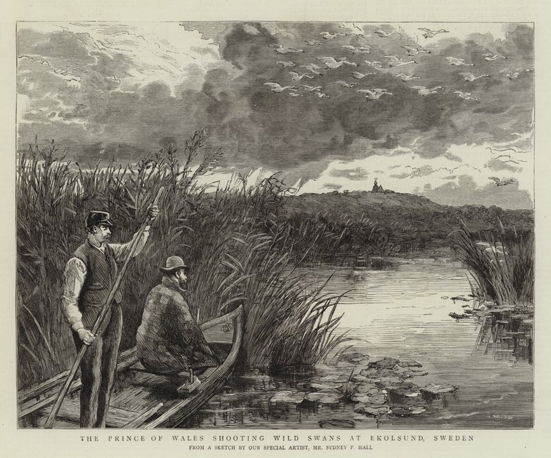 The Prince of Wales shooting Wild Swans at Ekolsund, Sweden by Sydney Prior Hall
