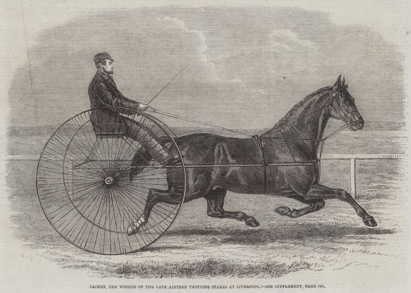 Jackey, the Winner of the late Aintree Trotting Stakes at Liverpool by Thomas Harrington Wilson