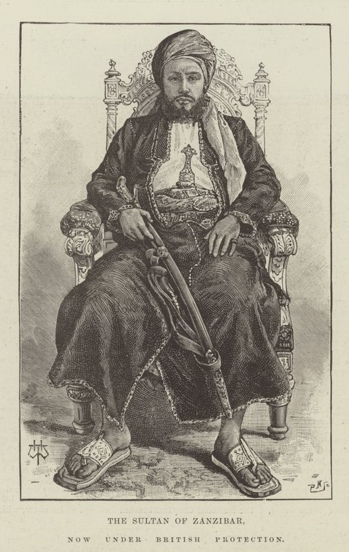 The Sultan of Zanzibar, now under British Protection by Thomas Harrington Wilson