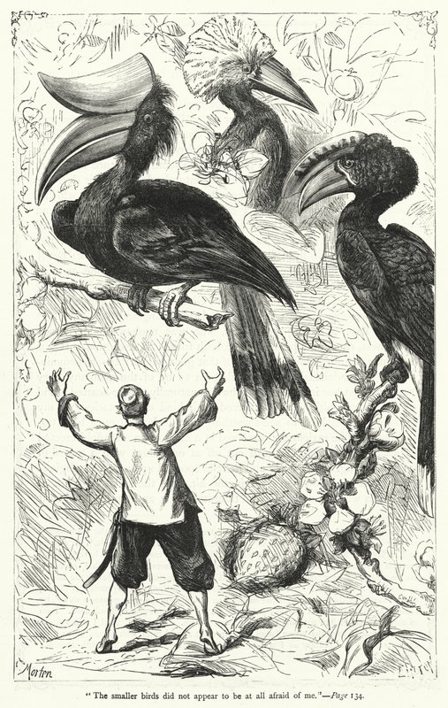 Illustration for Gulliver