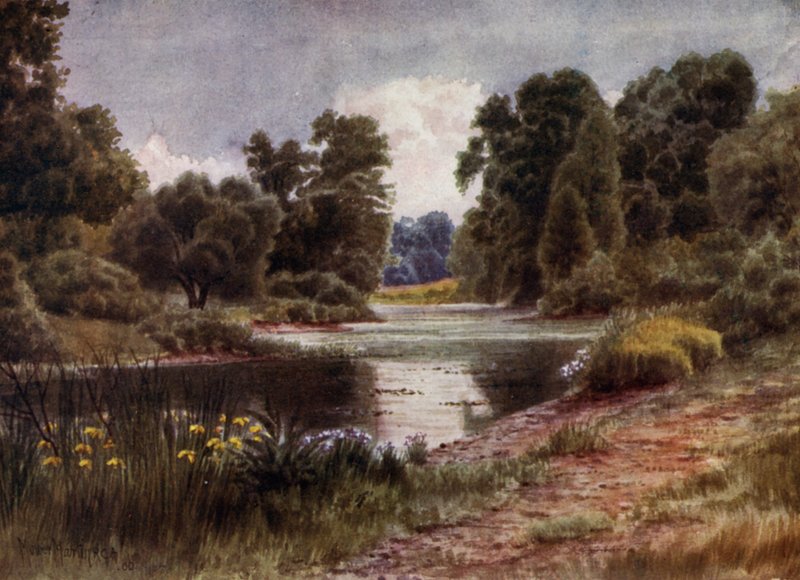 Kew Gardens: The Lake, Looking South by Thomas Mower Martin