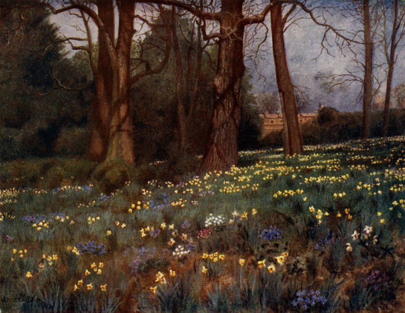 Kew Gardens: The Wild Garden in Spring by Thomas Mower Martin