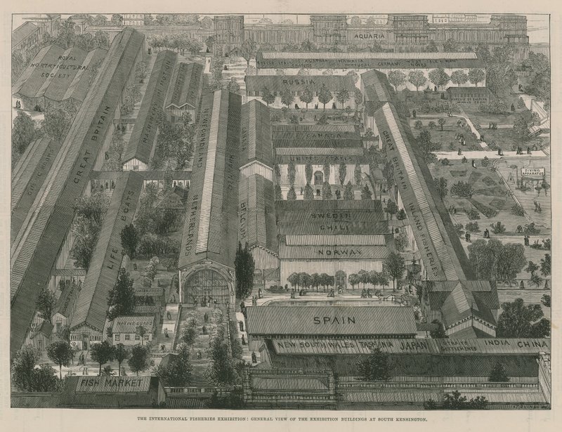 The International Fisheries Exhibition; A General View of the Exhibition Buildings by Thomas Sulman