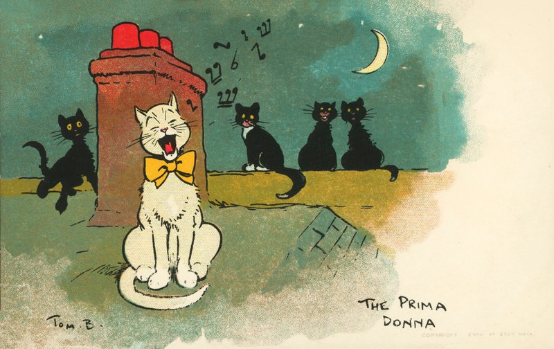 Prima donna by Tom Browne