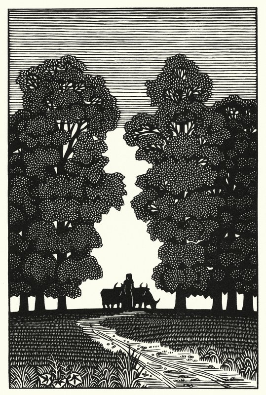 Illustration for Tess Of The D