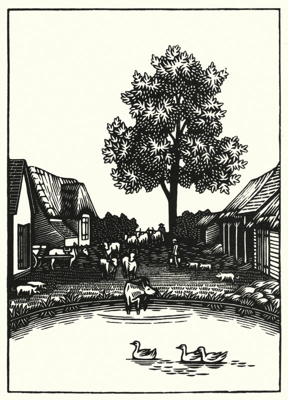 Illustration for Tess Of The D