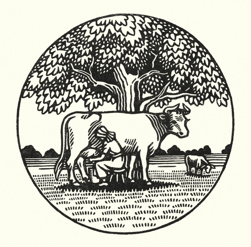 Illustration for Tess Of The D