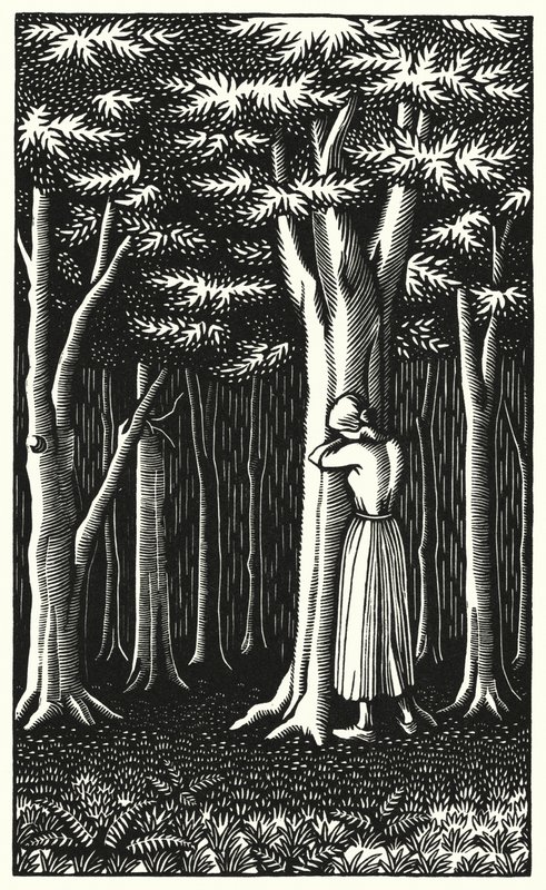 Illustration for Tess Of The D