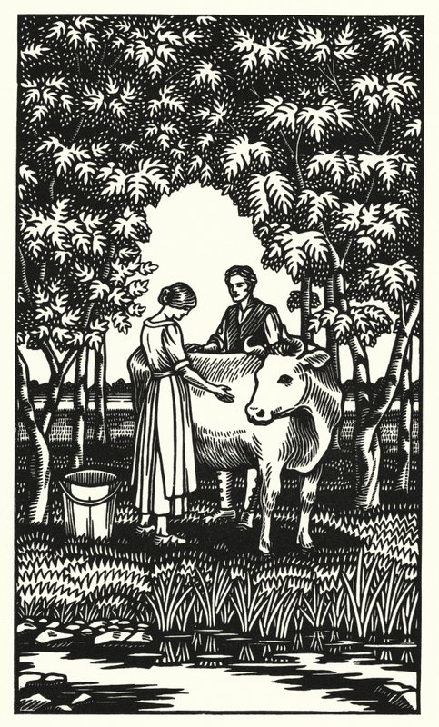 Illustration for Tess of the d