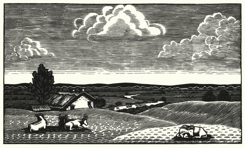 Illustration for Tess of the d
