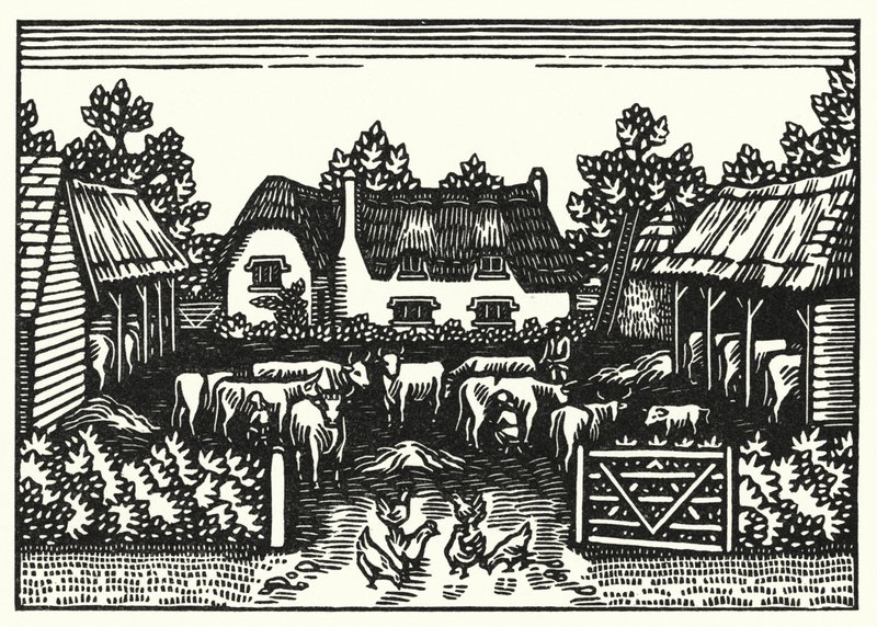 Illustration for Tess of the d