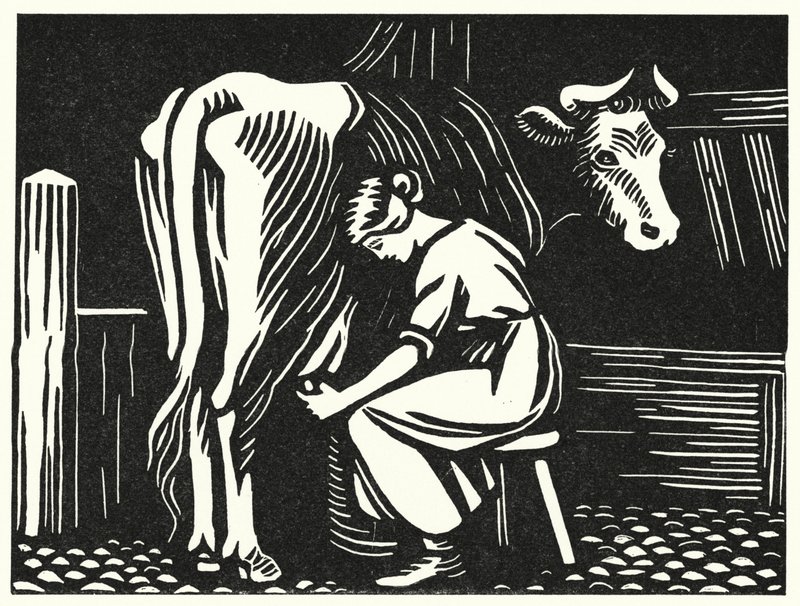Illustration for Tess of the d