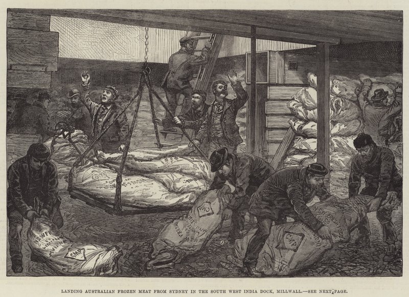 Landing Australian Frozen Meat from Sydney in the South West India Dock, Millwall by Walter Paget