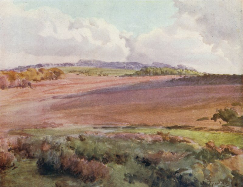 The New Forest: Across Malwood Walk from the Road to Fritham by Walter Frederick Roofe Tyndale