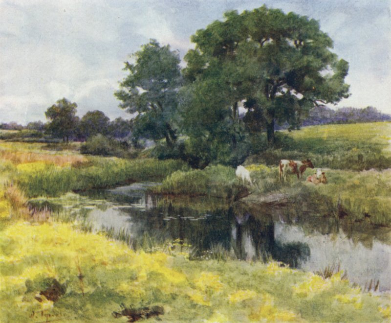 The New Forest: On the Lymington River by Walter Frederick Roofe Tyndale