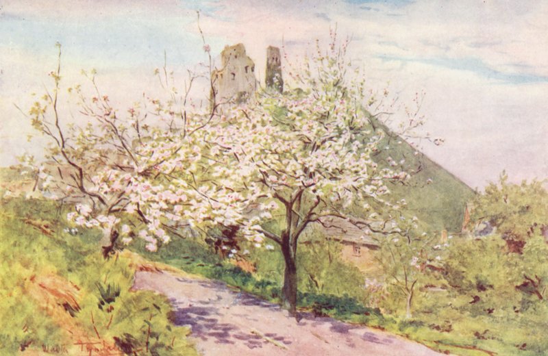 Wessex: Spring in Wessex by Walter Frederick Roofe Tyndale