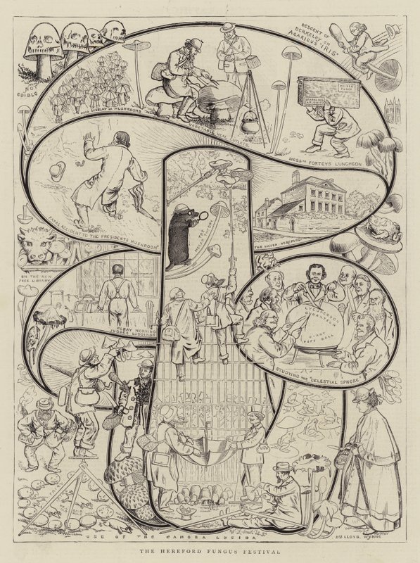 The Hereford Fungus Festival by Walter Granville Smith