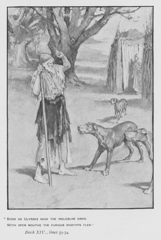 Illustration for Pope