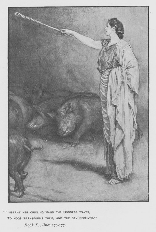 Illustration for Pope