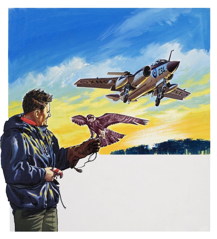 Falcon Flight by Wilf (20th century) Hardy