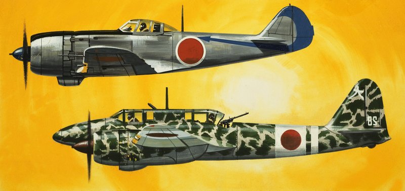 Into the Blue: Japanese Aircraft of World War II by Wilf (20th century) Hardy