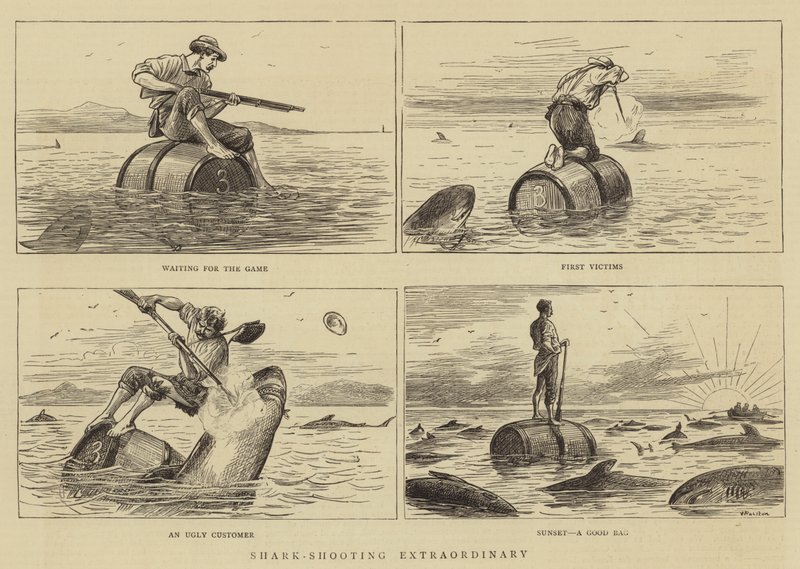 Shark-Shooting Extraordinary by William Ralston