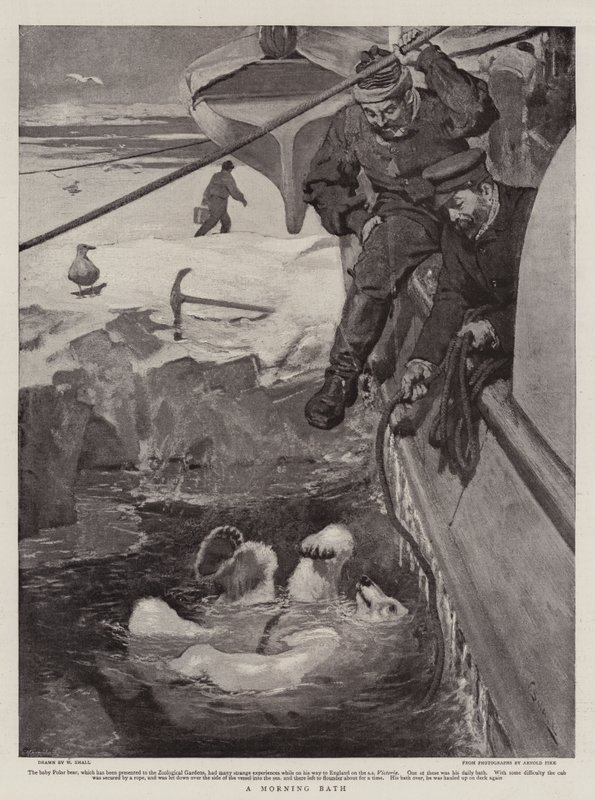 A Morning Bath by William Small