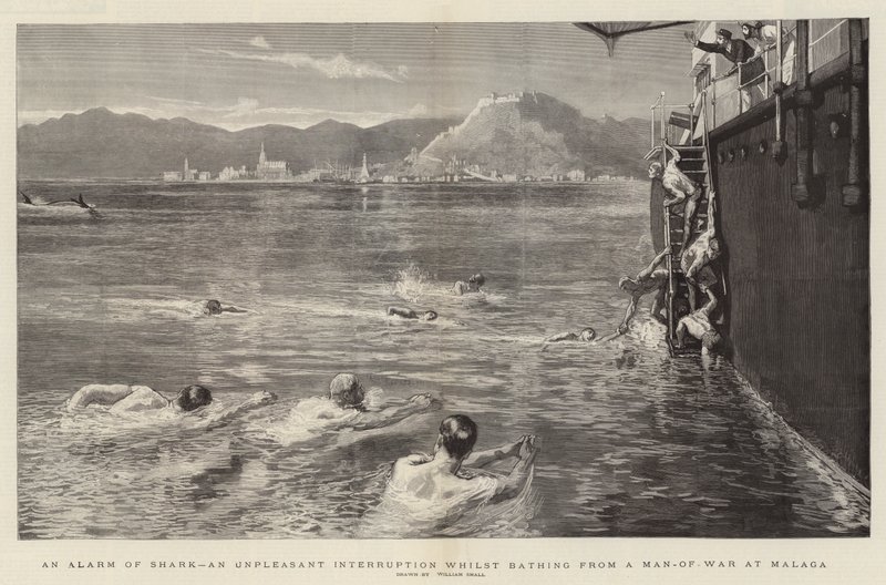 An Alarm of Shark, an Unpleasant Interruption Whilst Bathing from a Man-of-War at Malaga by William Small