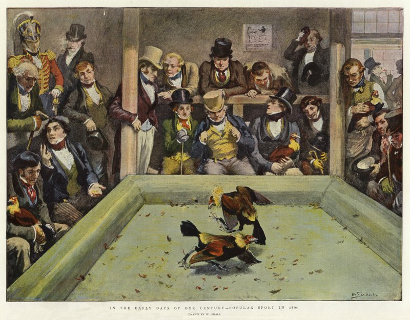 In the Early Days of Our Century, Popular Sport in 1800 by William Small