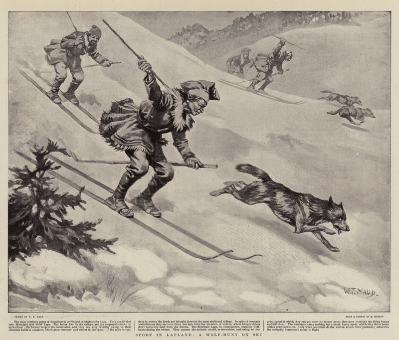 Sport in Lapland, A Wolf-Hunt on Ski by William T. Maud
