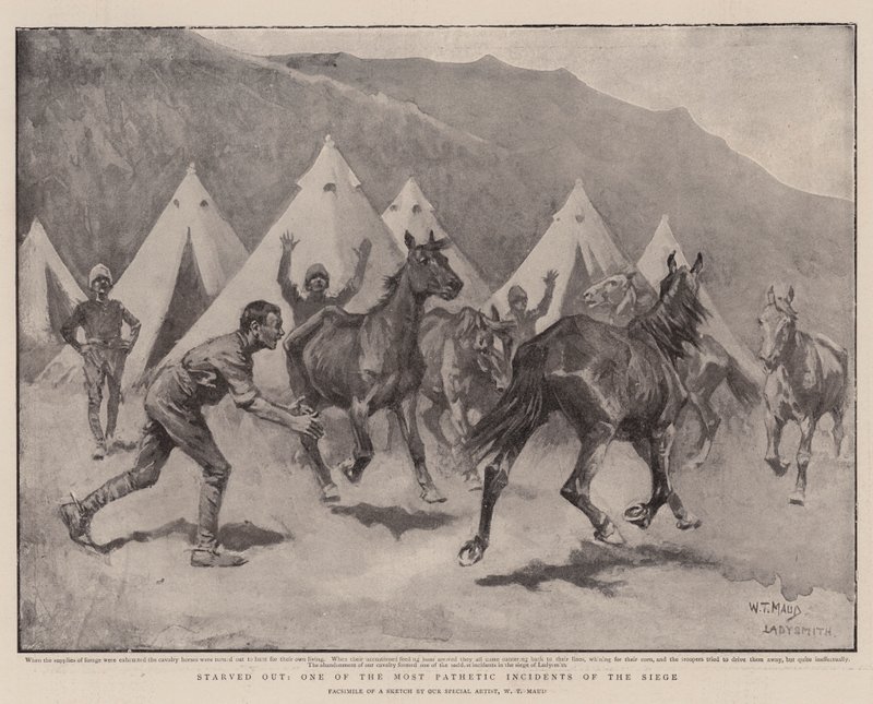 Starved Out, One of the Most Pathetic Incidents of the Siege by William T. Maud
