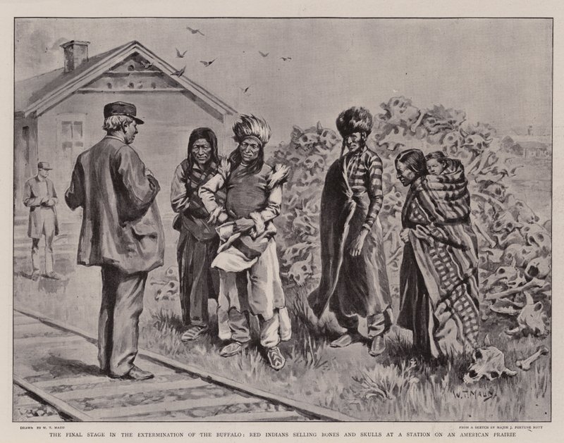 The Final Stage in the Extermination of the Buffalo, Red Indians Selling Bones and Skulls at a Station on an American Prairie by William T. Maud