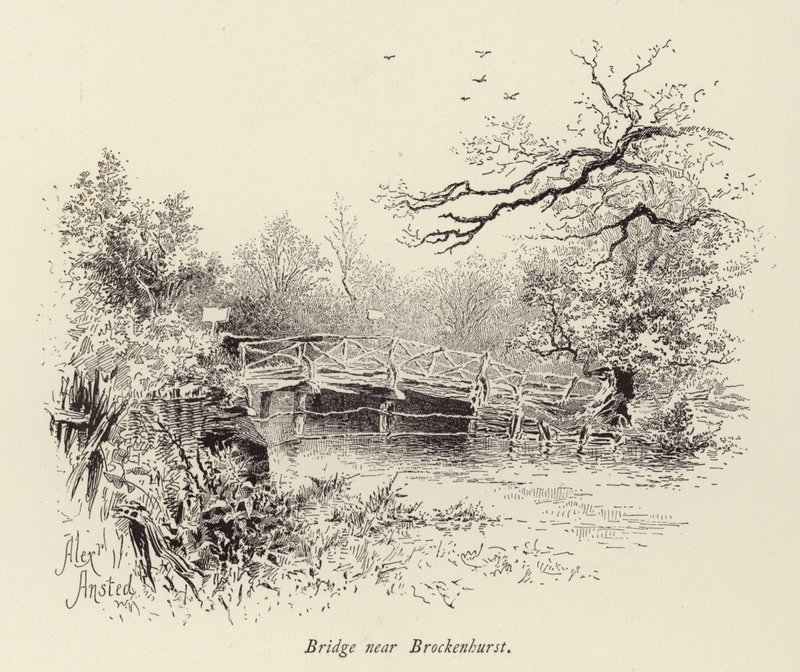 Bridge near Brockenhurst by William Alexander Ansted