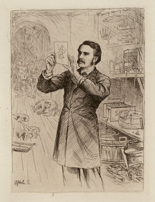 James Cossar Ewart, Professor of Natural History (engraving) by William Brassey (after) Hole