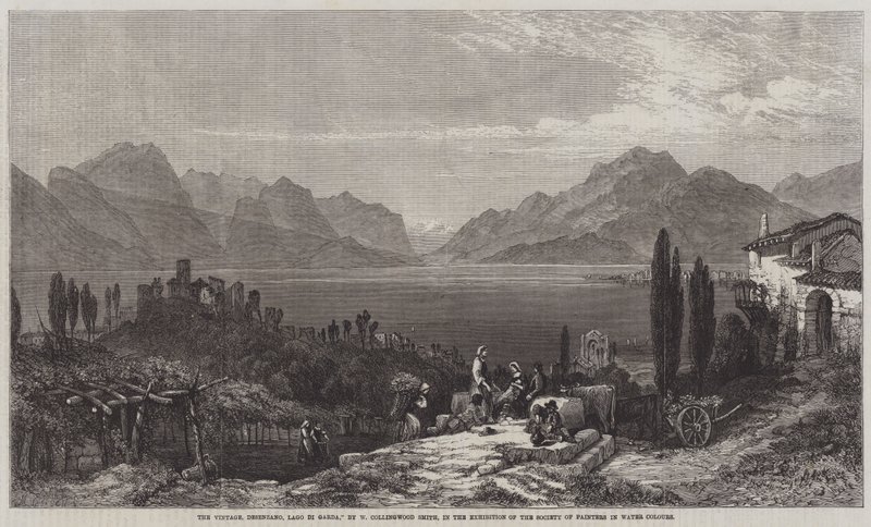The Vintage, Desenzano, Lago di Garda by William Harding Collingwood Smith