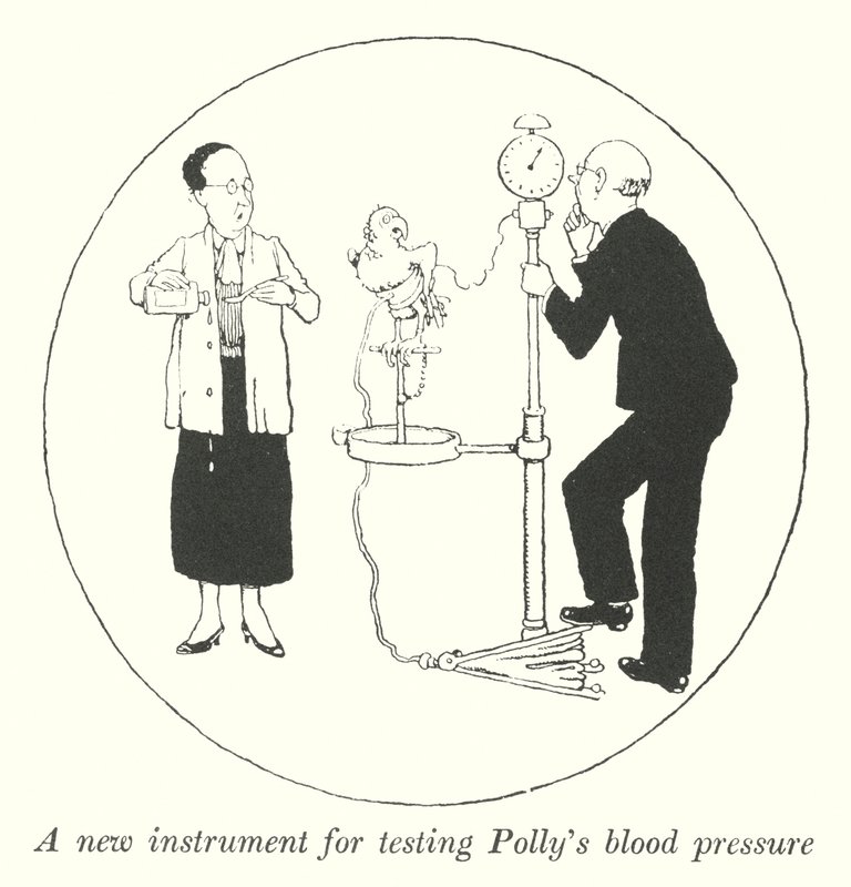 A new instrument for testing Polly
