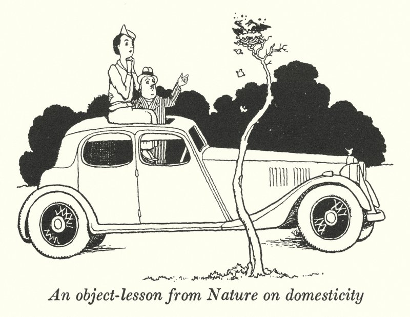 An Object-Lesson from Nature on Domesticity by William Heath Robinson