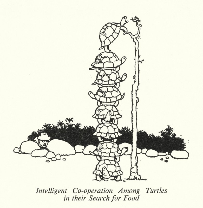 Intelligent Co-operation Among Turtles in their Search for Food by William Heath Robinson