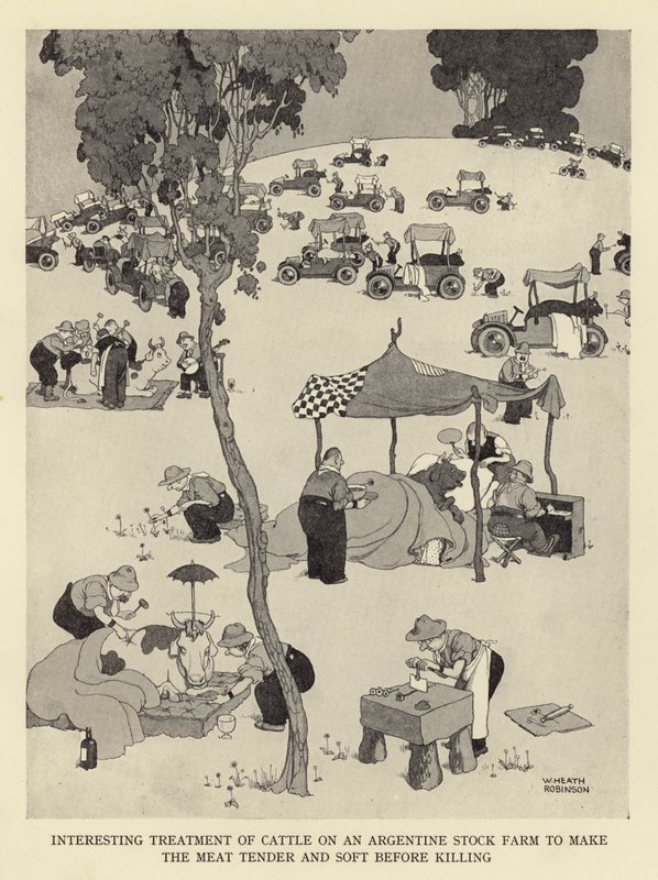Interesting Treatment of Cattle on an Argentine Stock Farm to Make the Meat Tender and Soft Before Killing by William Heath Robinson
