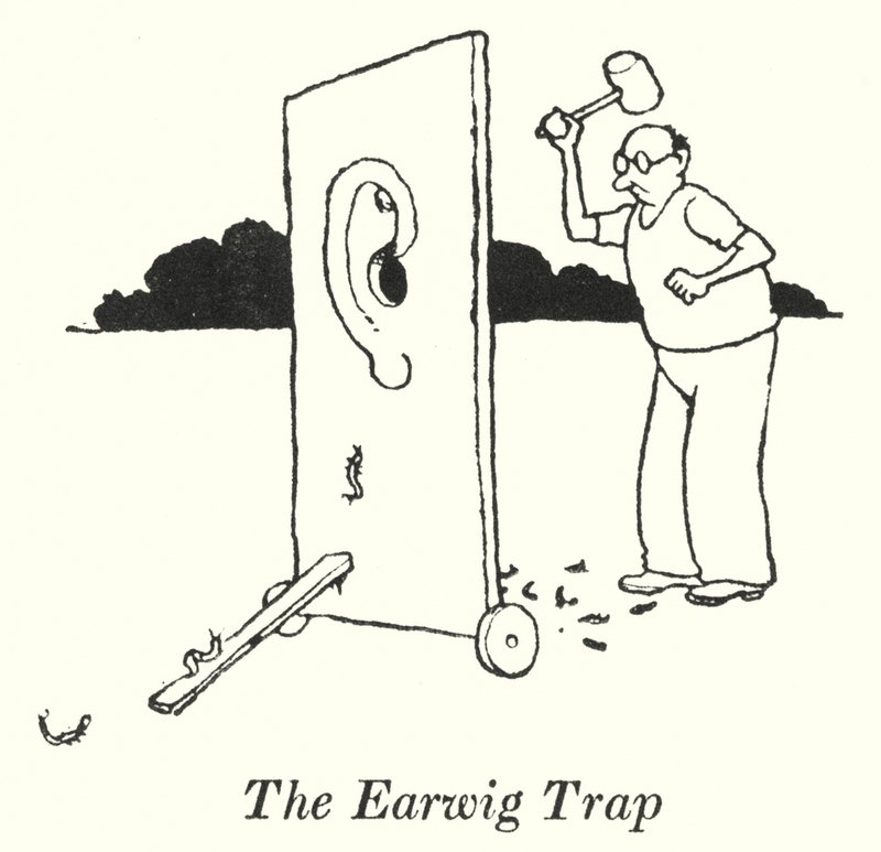The Earwig Trap by William Heath Robinson