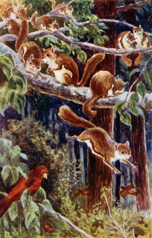 How delightful it was to watch them frolicking about! by William Henry Charles Groome
