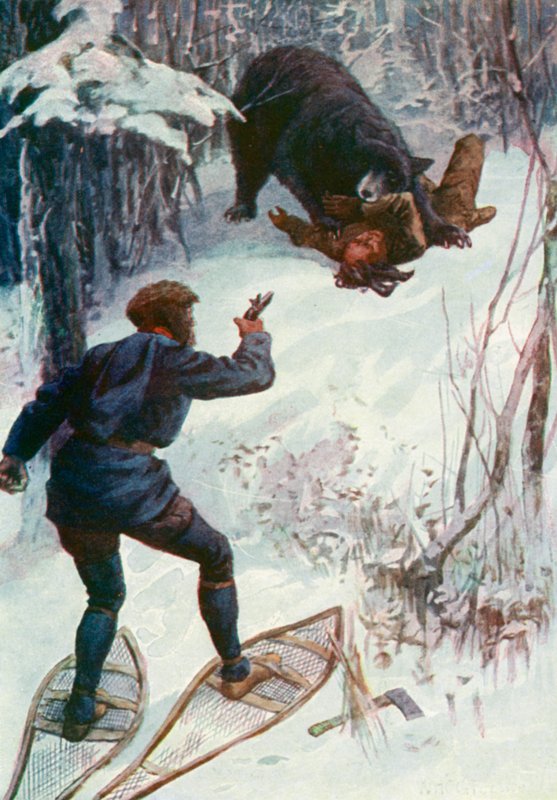 The bear stood over him, holding one of his arms in its mouth by William Henry Charles Groome