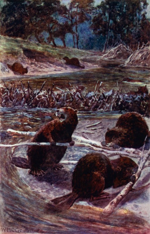 They Build a Dam Across the Stream by William Henry Charles Groome