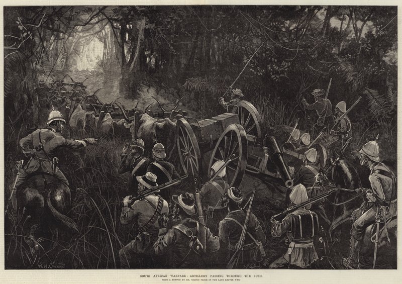South African Warfare, Artillery passing through the Bush by William Heysham Overend