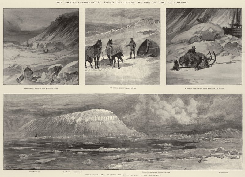 The Jackson-Harmsworth Polar Expedition, Return of the Windward by William Heysham Overend