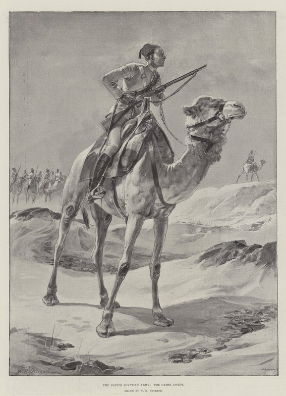 The Native Egyptian Army, the Camel Corps by William Heysham Overend